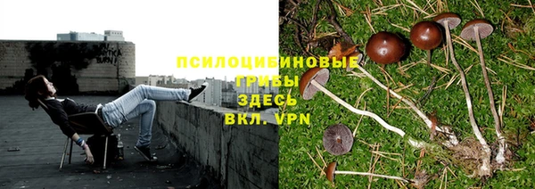 дмт Заволжье