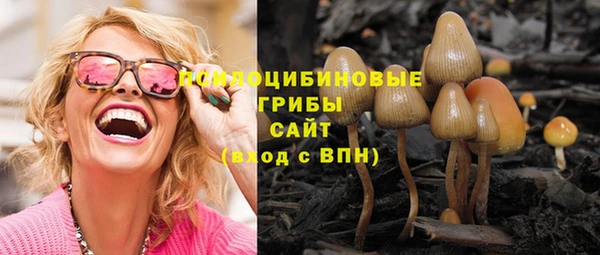 дмт Заволжье