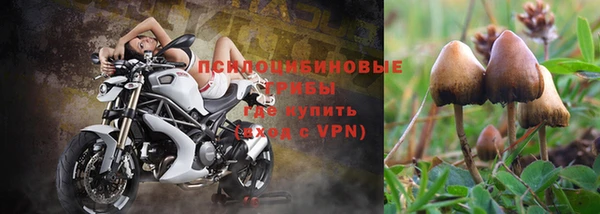 дмт Заволжье